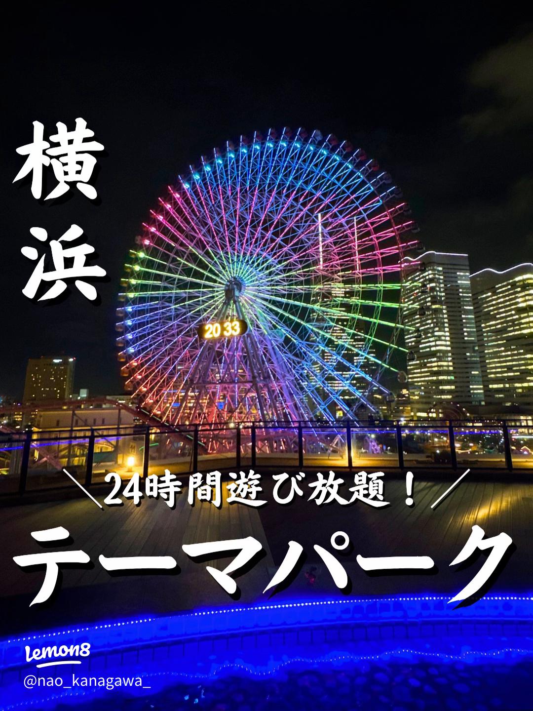 関東で楽しむコスパ最強の遊園地2025 年のリアルなLemon8ユーザー体験