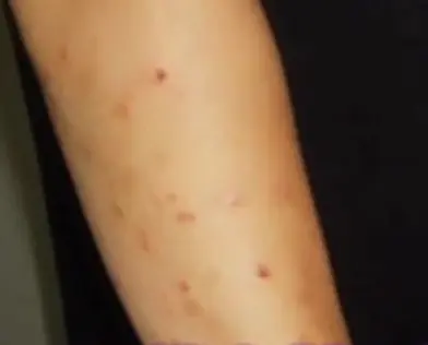 館内マップホテル ユニバーサル ポート ヴィータ