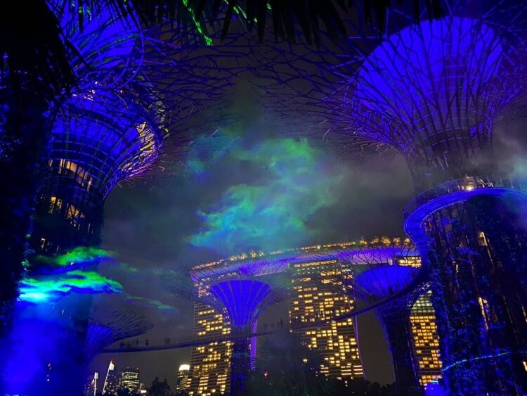 ガーデンズバイザベイの見どころ！チケット料金や行き方も紹介