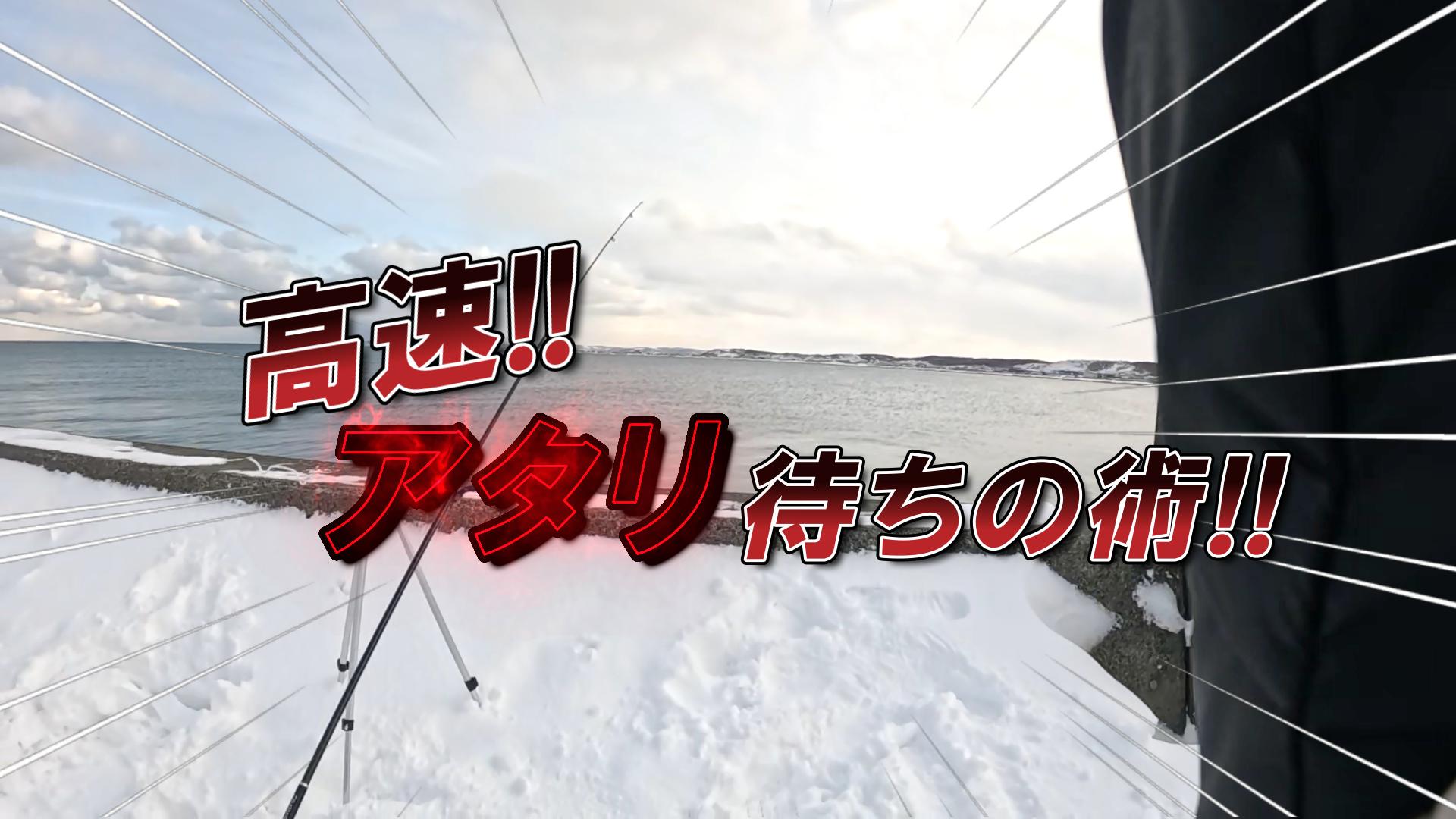 北海道でカレイ釣り！釣れない冬の時期でも釣れた！親子で海釣り