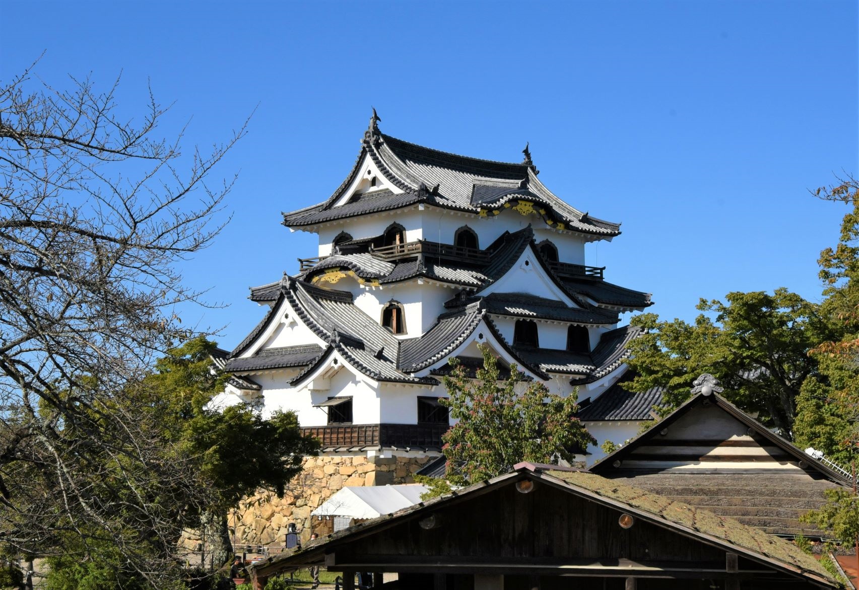 滋賀旅行② 真夏の国宝・彦根城、140段の石段の先へ2025夏のおでかけLEE