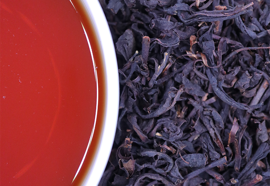 TEA FOLKS29 牧之原山本園