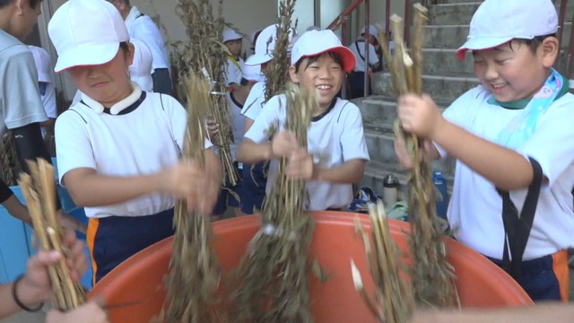 体験スペース ラボレア小豆島オリーブ園