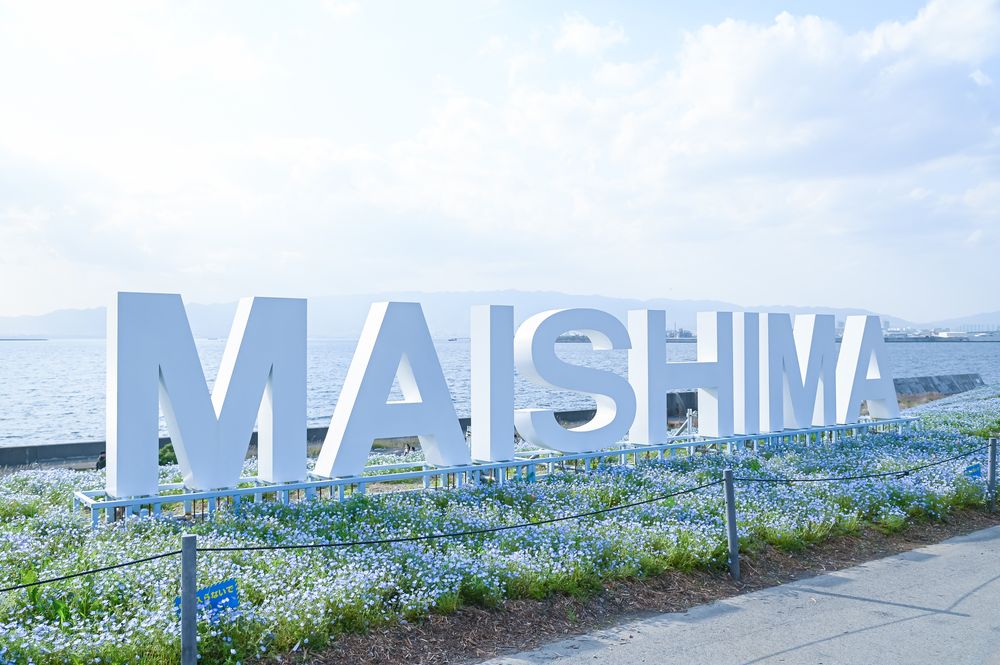 ご紹介いただきありがとうございます！！ ネモフィラ祭り残り2日となりました！！ まだまだネモフィラ綺麗に咲いてます！！ 満開とはいきませんが皆座のお越しをお待ちしております🤍