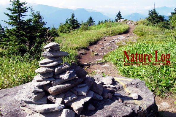 西穂登山道のケルン - No: