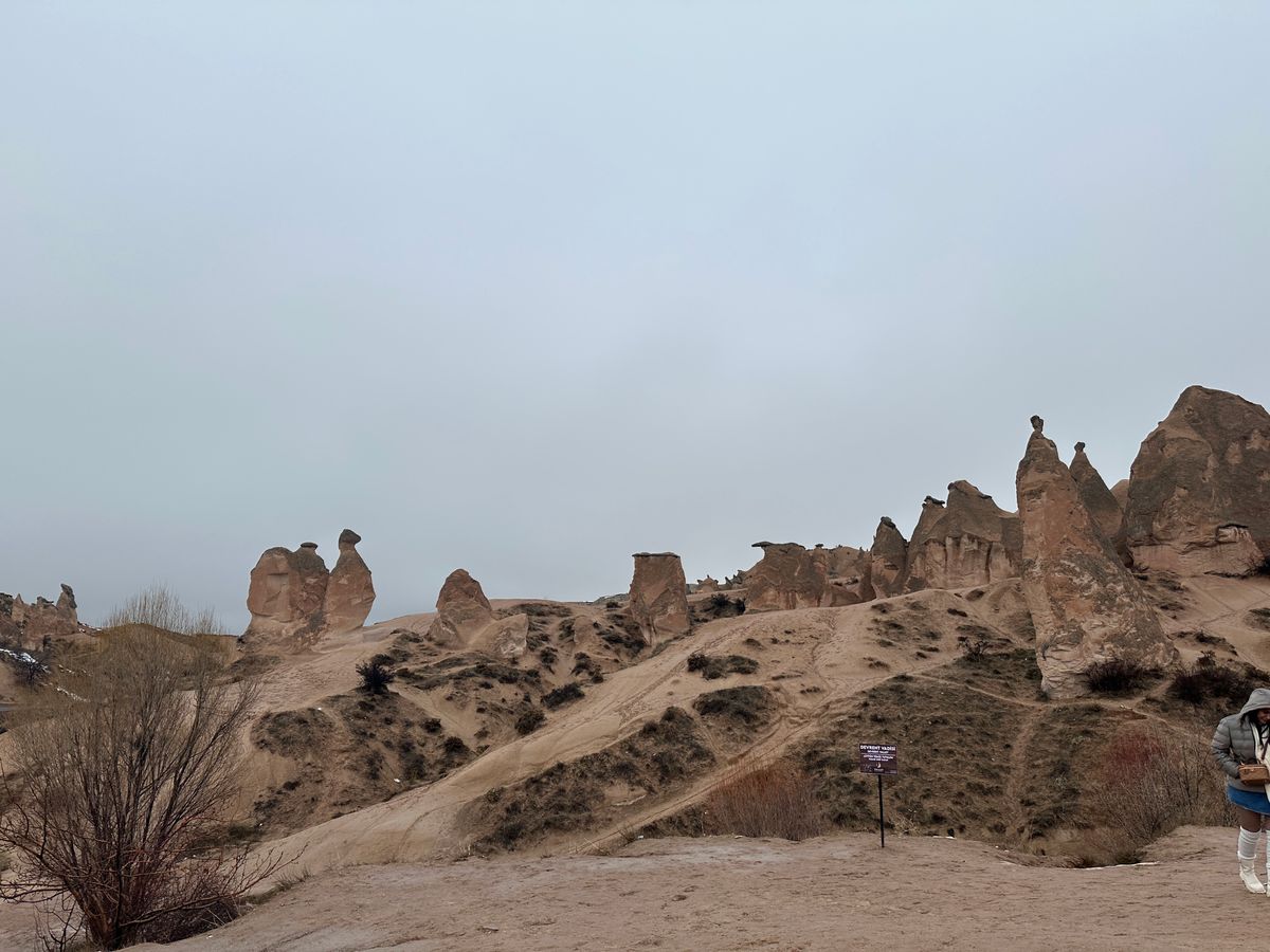 🇲🇦🇹🇷 🌍✨ 意外と知らない？モロッコとトルコの地理と気候の違い！ ✨🌿 同じイスラム文化を持つ国としてよく比較されるモロッコとトルコですが、その地理や気候は大きく異なります！🌡️