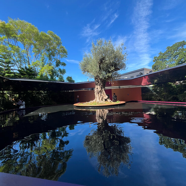 パリ旅行計画 往年のスター風モノクロ写真が撮影できるフォトスタジオとセルフキャビンel BLANCO