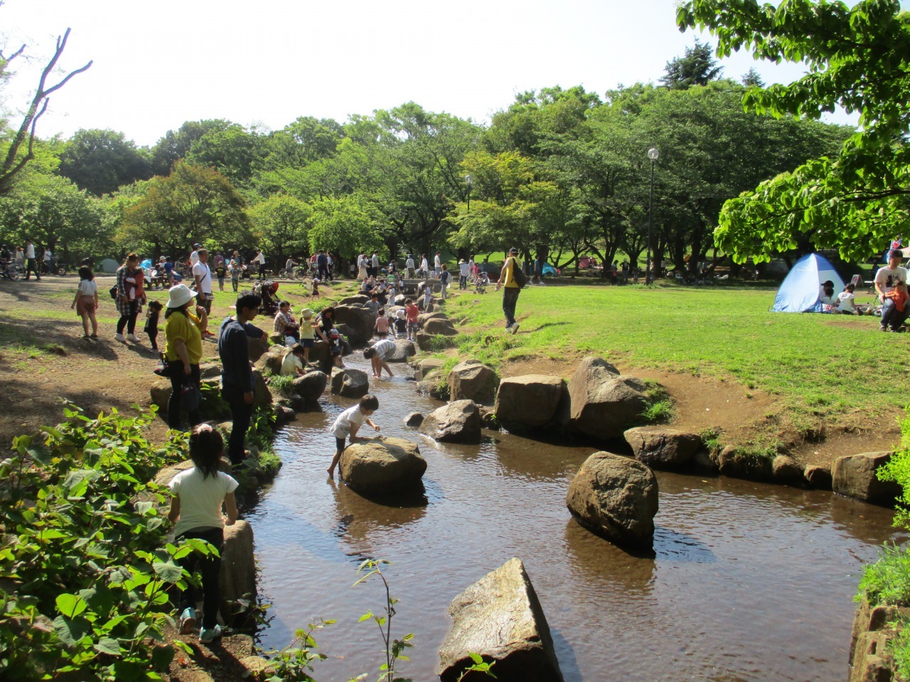 所沢航空記念公園の紅葉紅葉情報2025
