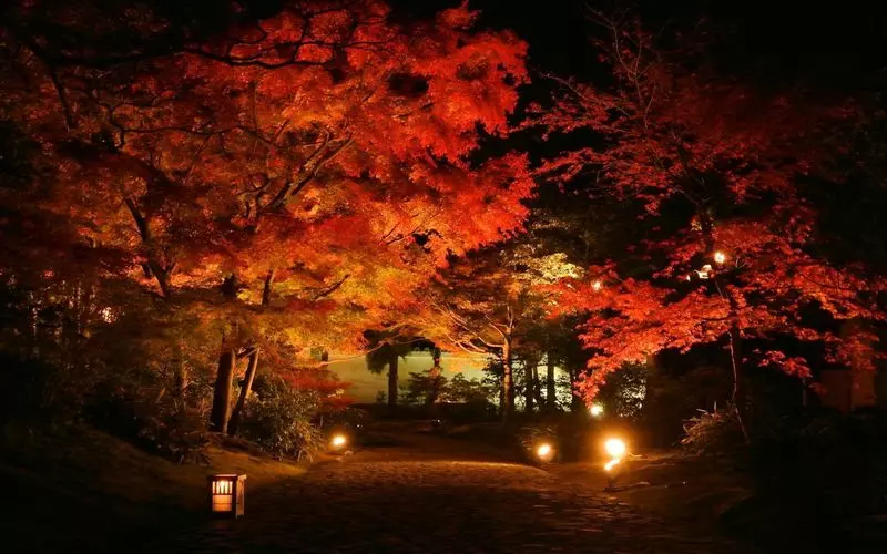 関西 紅葉絶景ドライブコース9選！日帰り旅行やデートにもおすすめ＜2023＞ 2- じゃらんnet