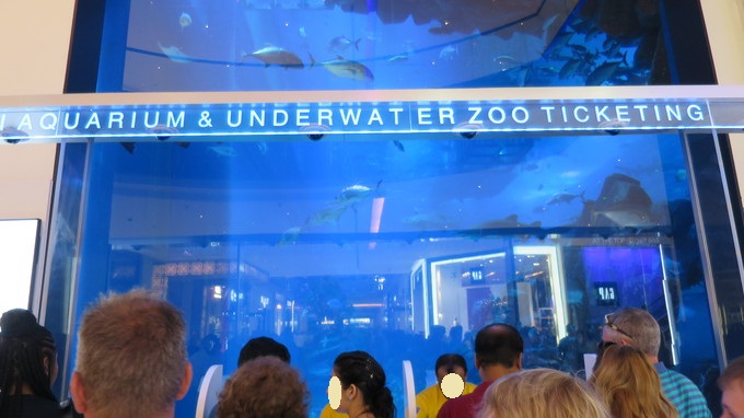 ドバイ水族館のチケット - Hellotickets