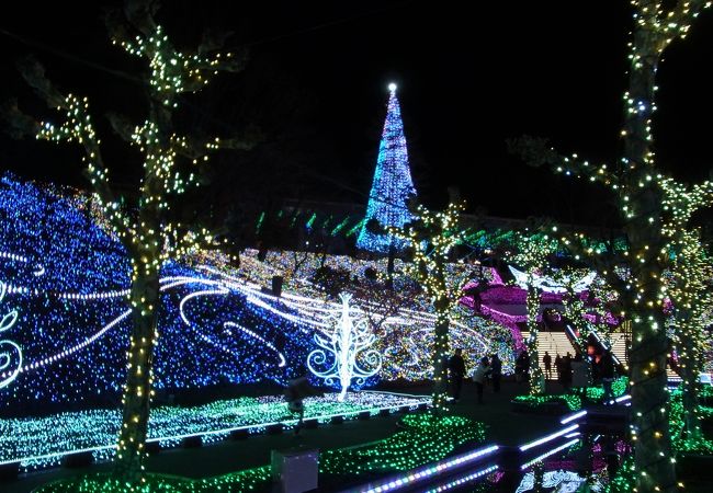 西武園ゆうえんち「夕日の街灯り」イルミネーション2023-2024の期間、料金、駐車場情報は？ 埼玉県所沢市 保護猫びより erieponの雑記ブログ