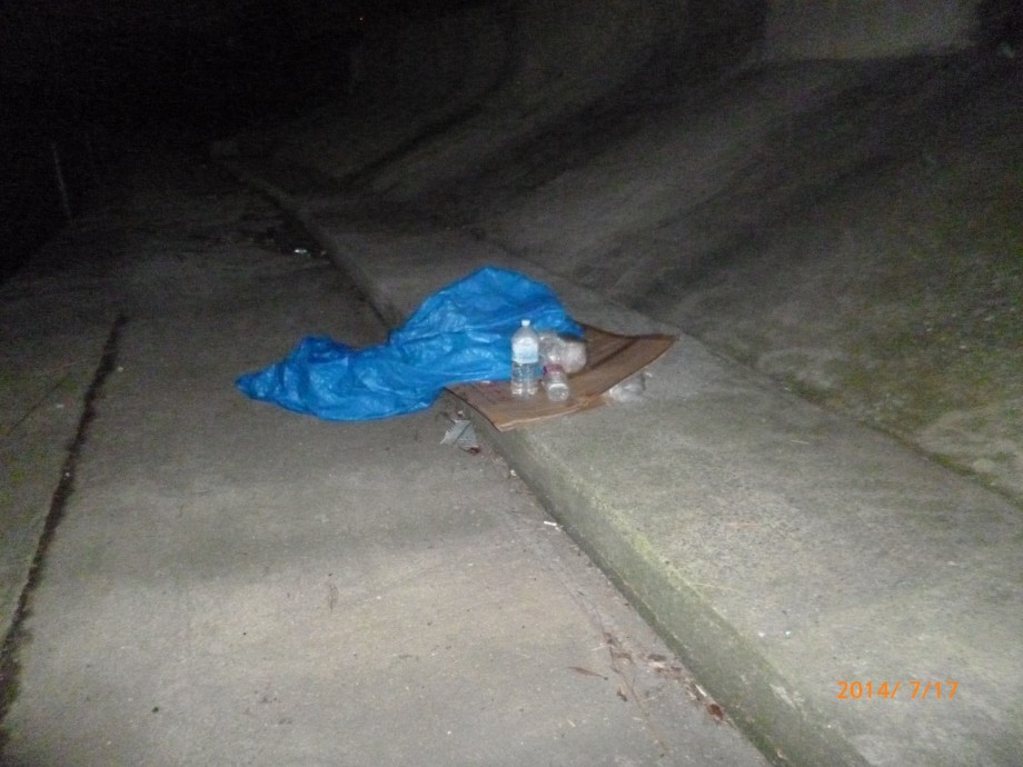 鶴見川河口で釣れたアジの釣り・釣果情報 - アングラーズ釣果600万件の魚釣り情報サイト