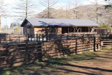 写真 - 神戸園キャンプ場なっぷキャンプ場検索・予約サイト