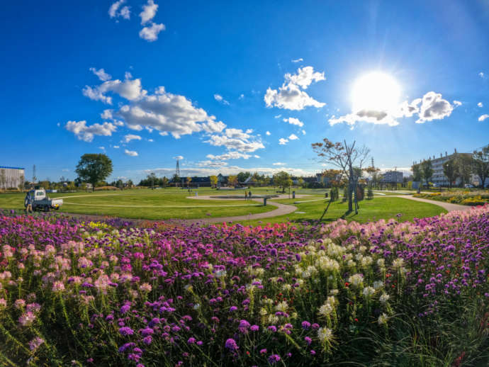 札幌・小樽 フォトジェニックスポット巡り☆２泊３日北海道 東京 羽田 発