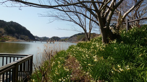 佐久間ダム湖親水公園 アクセス・営業時間・料金情報 -