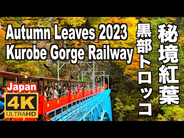 紅葉ハンター トロッコ電車に乗って♡黒部峡谷の絶景に会いに行こう！aumo アウモ