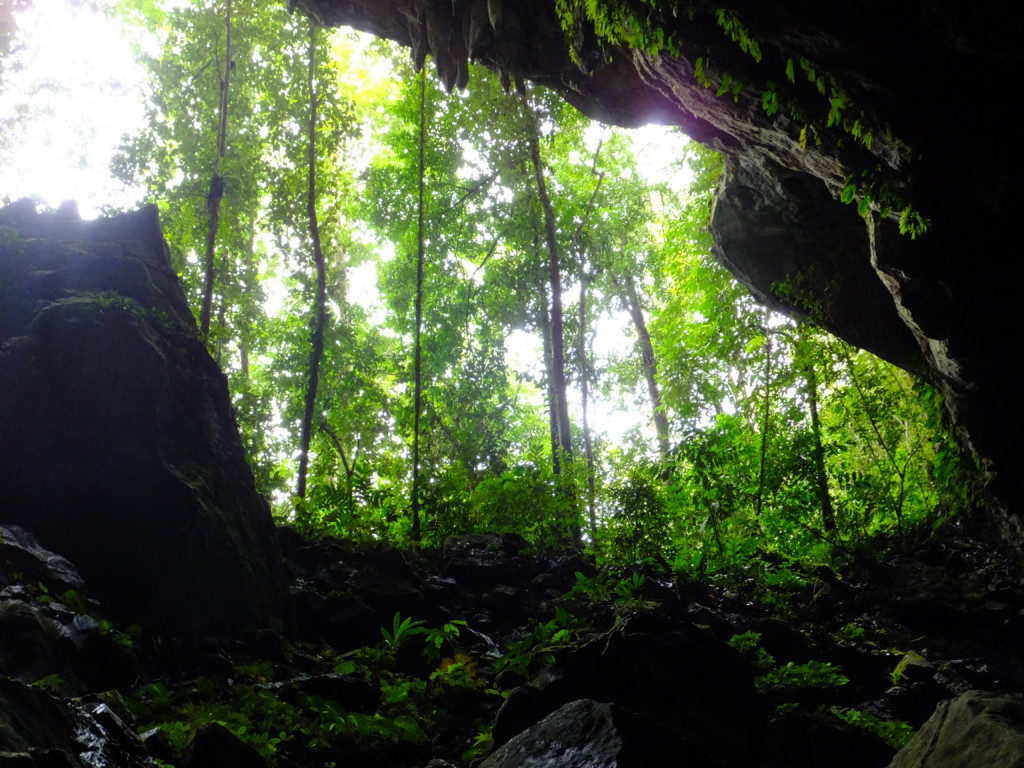 グヌン・ムル国立公園個人旅行ガイド 2025年 ：おすすめの周辺アクティビティ、人気観光スポット、旅程の計画、宿泊施設、グルメ、交通機関、天気など、旅行に必要な情報が満載