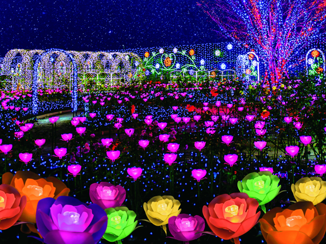 栃木の夜景スポット10選！定番から穴場までデートやドライブにおすすめの場所を紹介なっぷ