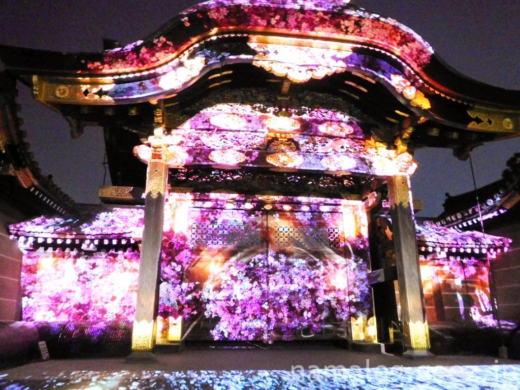 世界遺産 京都・二条城桜まつりネイキッドフラワーズ2021-桜-世界遺産・二条城 ネイキッドチケットはローチケ。二条城×ネイキッド桜まつりNAKEDFLOWERS2021が3月19日より開催！ローチケ