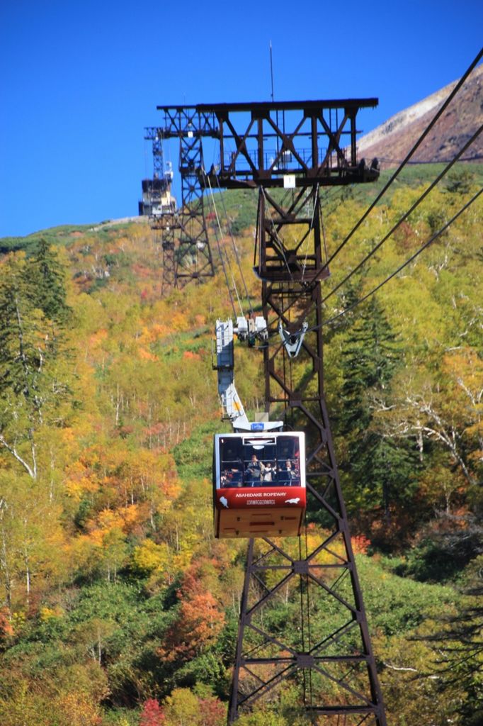 ばふぁろうず on X: 