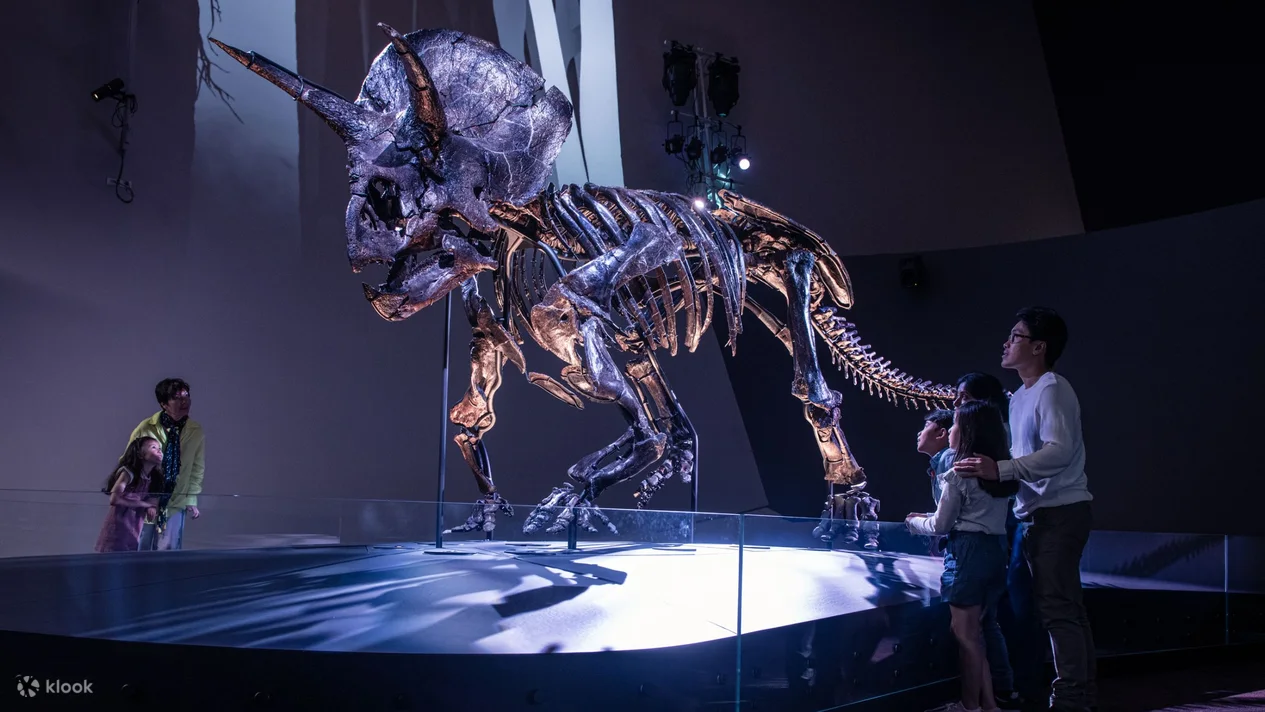 ここってオーストラリア？まるで西洋！王立展示館とカールトン庭園世界遺産・海外旅行ガイド