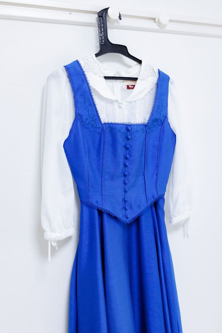 👸🏼🧺🥀 初めてのＤハロ仮装は、