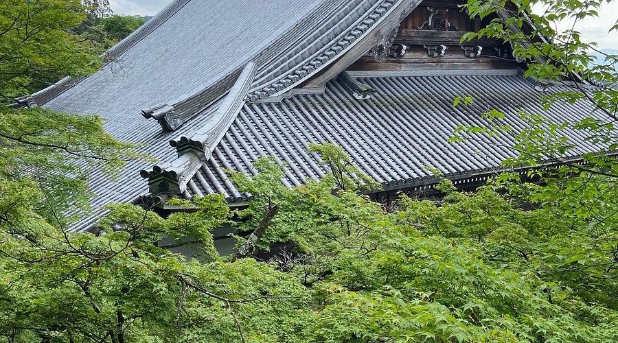 2025 京都 観光スポット 禅林寺永観堂 の観光ガイド