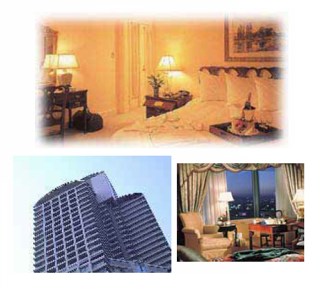 新玉旅館はちわれ猫ライブカメラ 大分県別府市浜脇ライブカメラDB