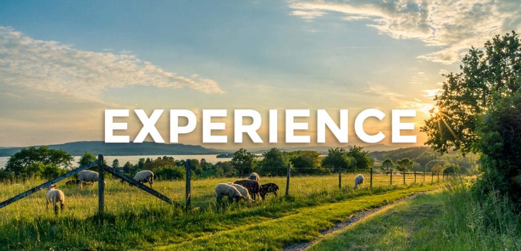 子連れキャラバン生活 in オーストラリア - 田舎町