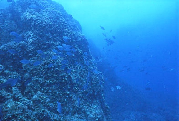 2014 孀婦岩ツア