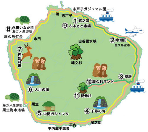 屋久島基本情報