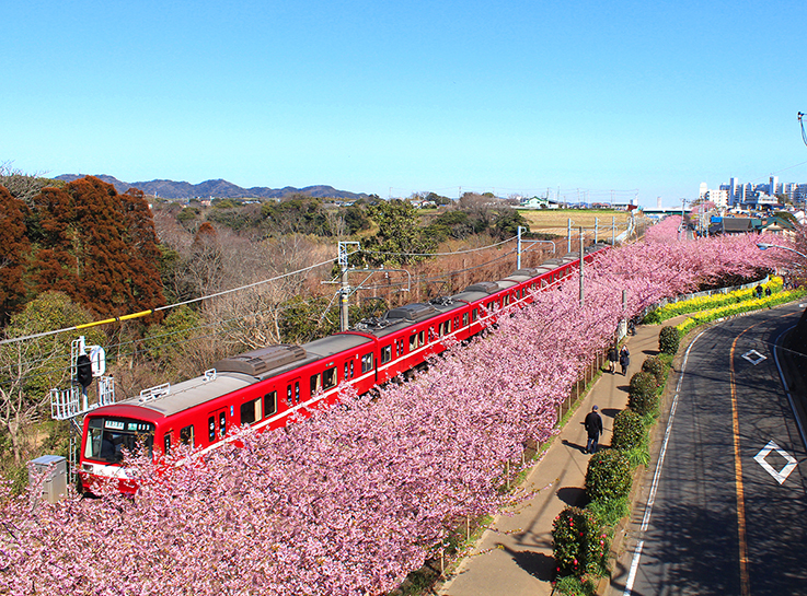 マホロバマインズ三浦 海を臨むリゾートホテルon X: