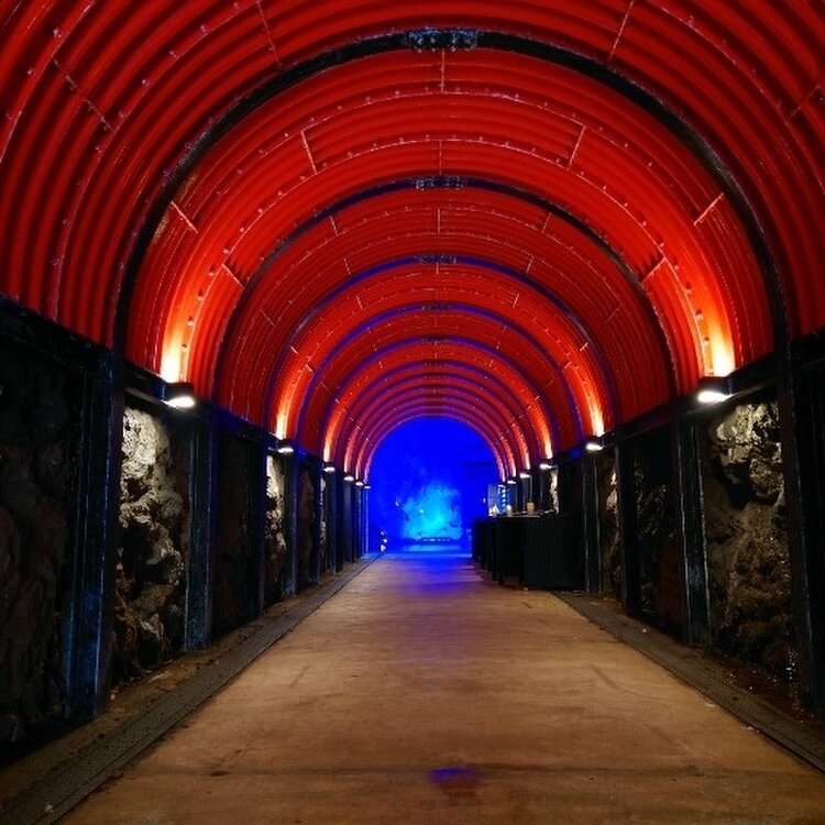 青の洞窟 Blue Cave