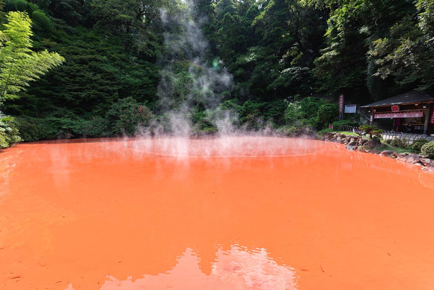 大分観光で外せないスポットはここ！温泉と自然の絶景を楽しもう！│近畿日本ツーリスト