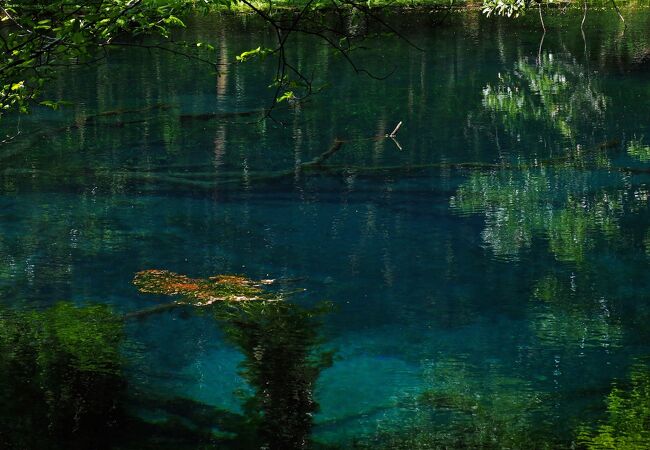 丸池様・牛渡川」 飽海郡遊佐町-湖沼-〒999-8521 の地図 アクセス 地点情報