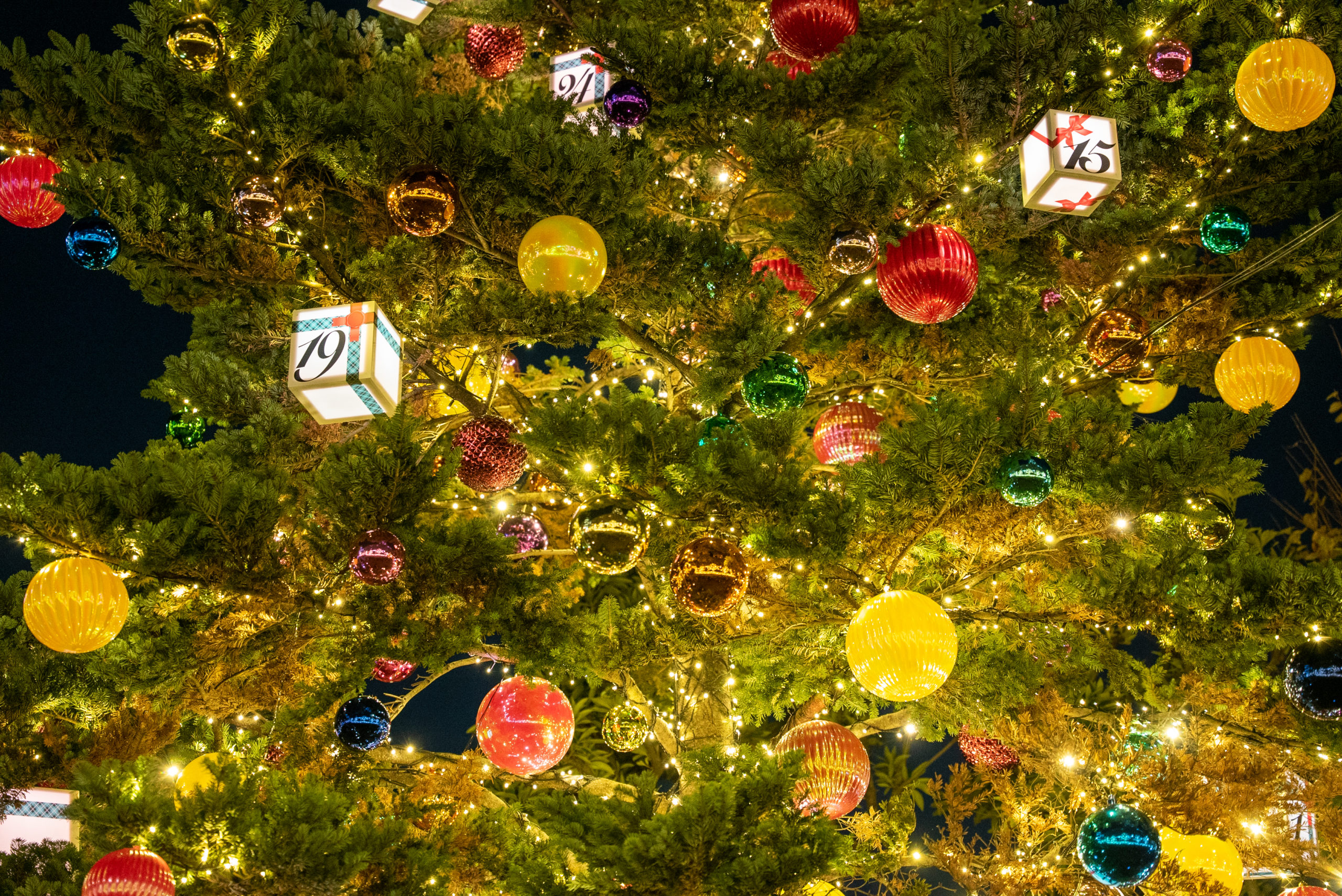 けやき坂イルミネーション点灯式が3年ぶり開催 “SNOW QUEEN”岡崎紗絵「メリークリスマス！」オリコンニュース