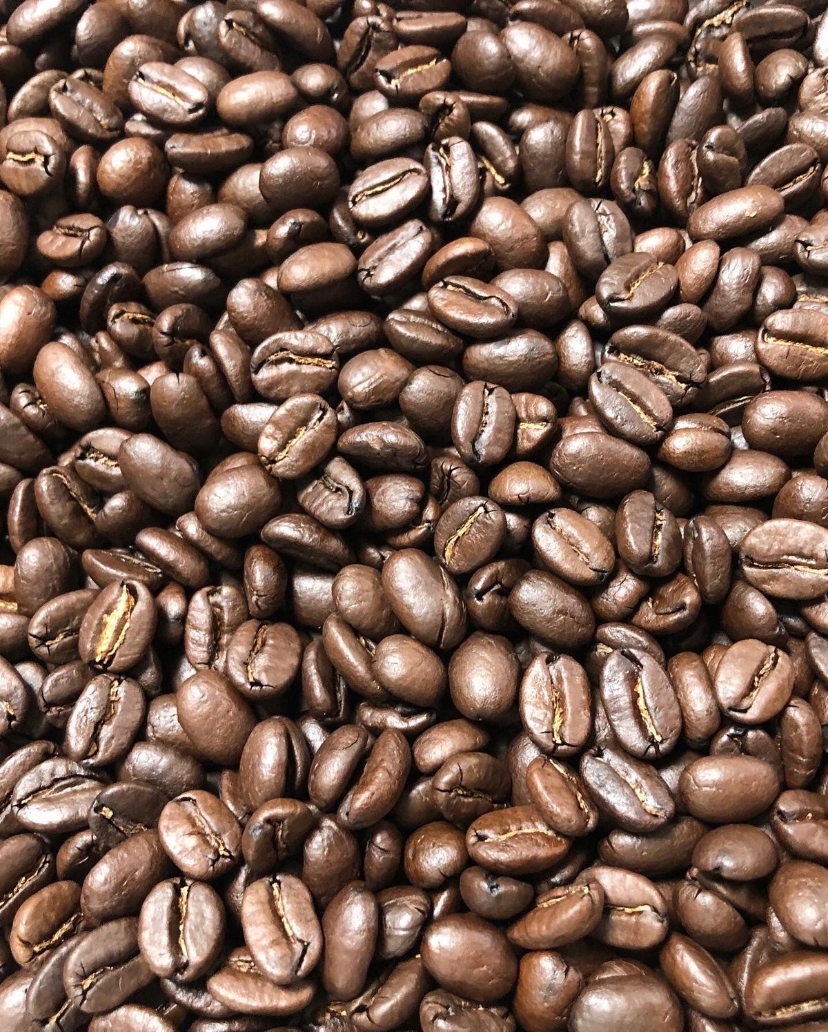 タンザニア ンゴロンゴロ アガワルファミリー ウォッシュ AA