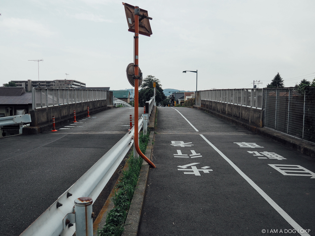 2025年 下河原緑道 - 出発前に知っておくべきことすべて