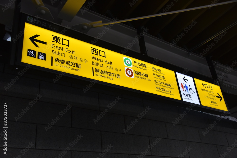 出口調査: 観測所雑記帳