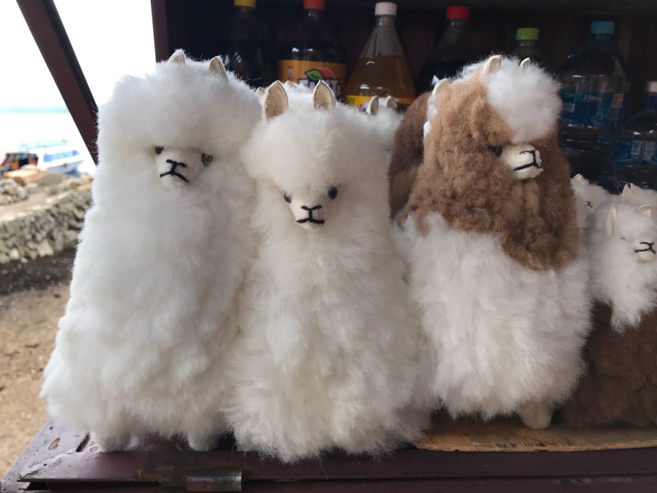 世界一周 ラパスのスーパーマーケットでお土産探しトモ先生のゆるふわ旅