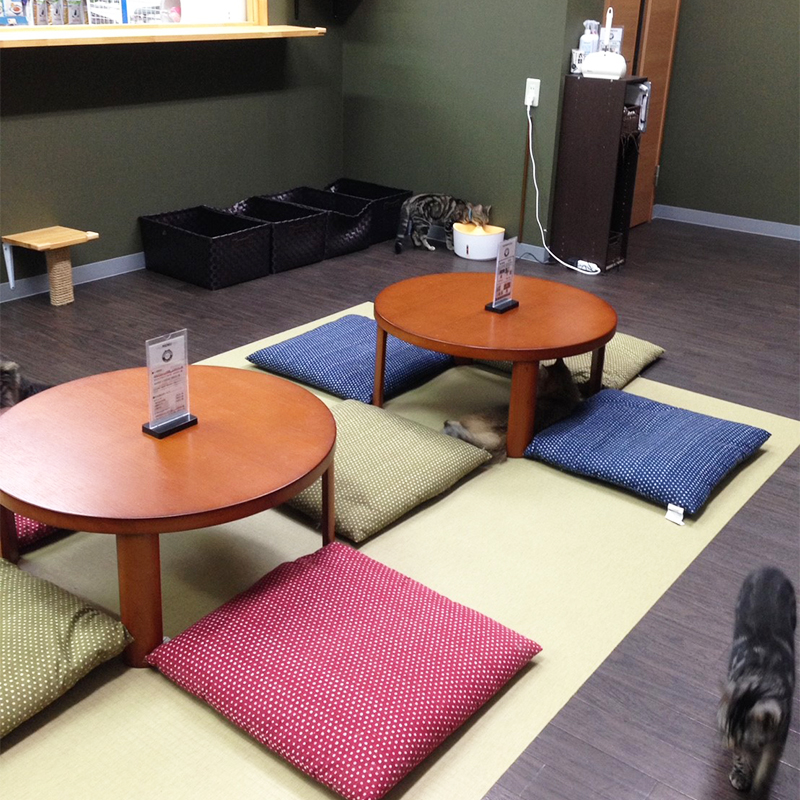 宇土駅から徒歩10分！快活CLUB 熊本宇土店をレポート - ヒマップ