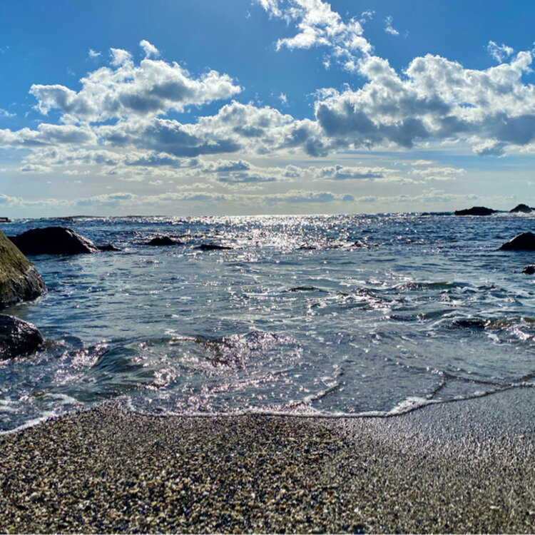 Woof woof UᵔᴥᵔUさんの投稿 鵜原理想郷ことりっぷ