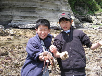 毛戸浦 今回は、勝浦市にある「毛戸浦」になります 鵜原理想郷にあるハイキングコースの途中に、毛戸岬と手弱女平の中間を下に降りて行くと毛戸浦があります。行かれる方は、道が狭く足場が悪いので足元に気をつけてください。住所千葉県勝浦市鵜原958-3 駐車場