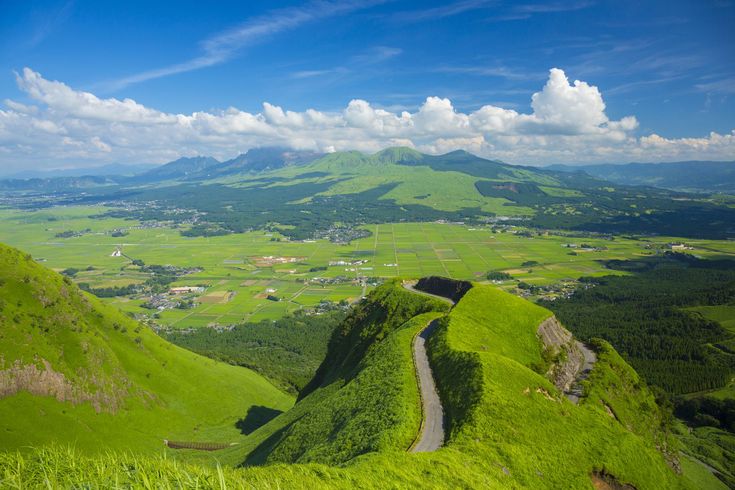 chi-koさんの投稿 ラピュタの道ことりっぷ