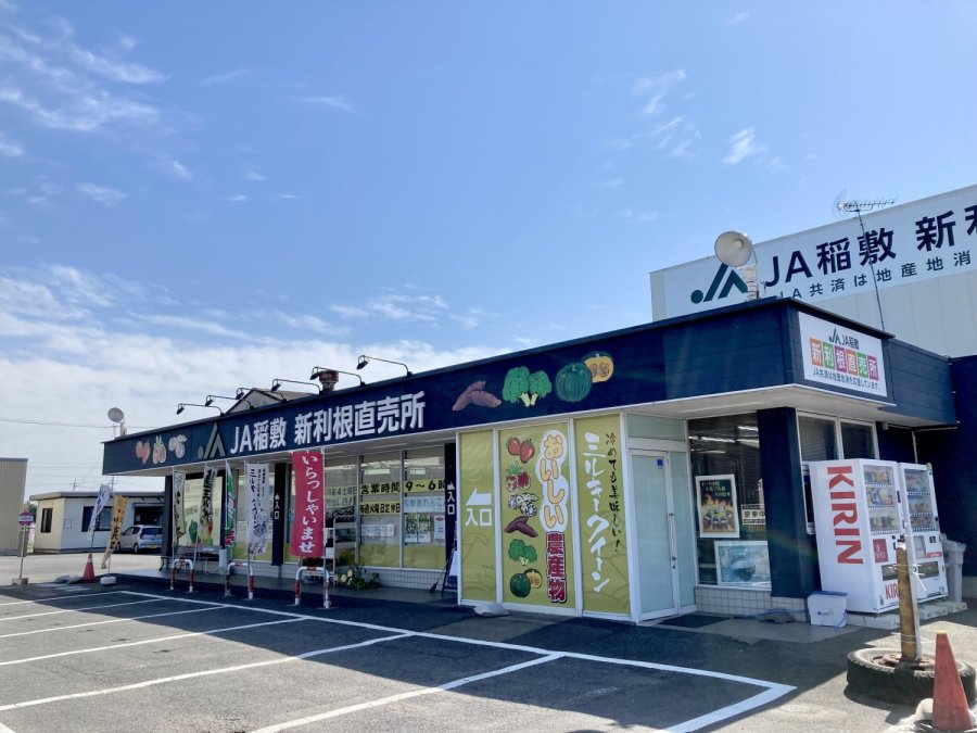 とんがり屋根のおうち 立体・オブジェ 工房ぺるる 通販