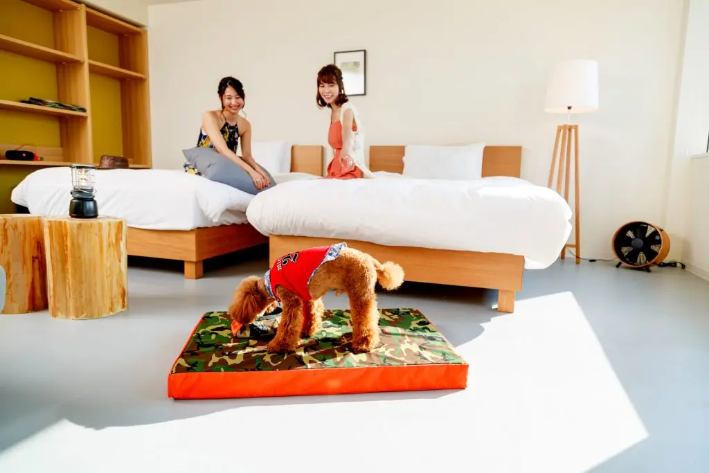 お部屋南九州 宮崎グランピング～日向ヴィレッジリゾグラ リゾートグランピング