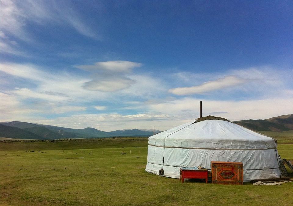 さすらいの旅ねこ・もんごろう！ ホップ・ステップ・CAMP- モンゴル旅行、モンゴルツアー専門店 たびびとのたまご