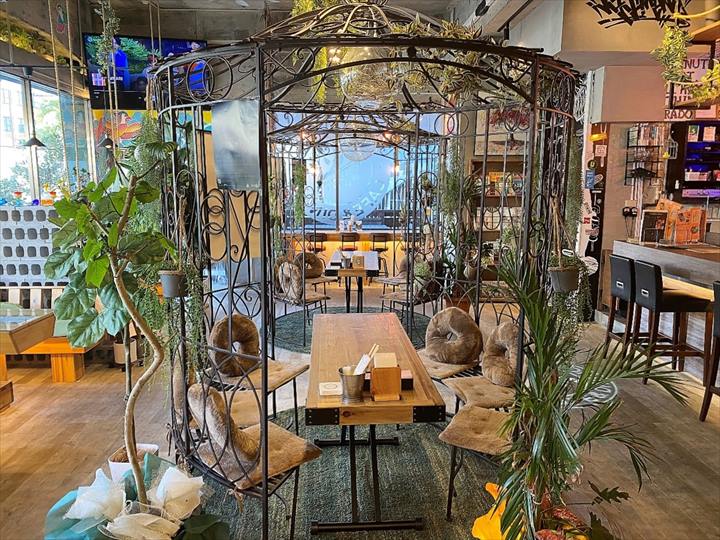 がじゅまるの木奈良の地域密着型・総合情報サイト Narakko! 奈良っこ