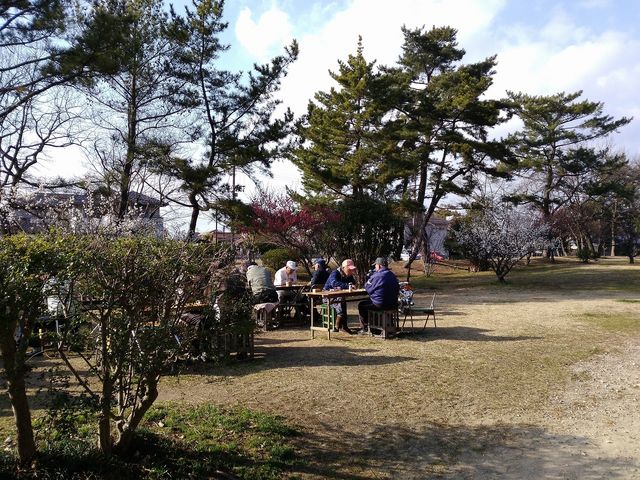市内の主な公園紹介 加古川市
