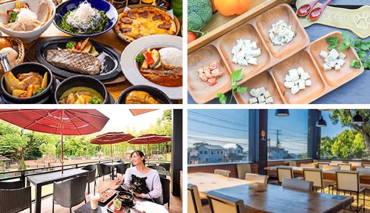 充実のモーニングサービスとアート「珈琲屋 美豆」静岡県・伊東・宇佐美・川奈のグルメ・お店